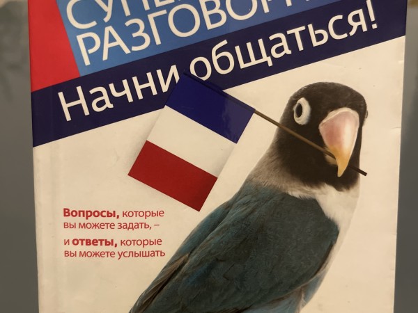 Современный русско-французский суперразговорник