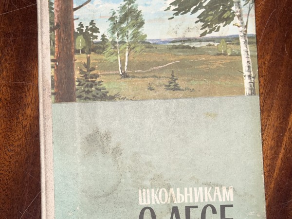 Школьникам о лесе