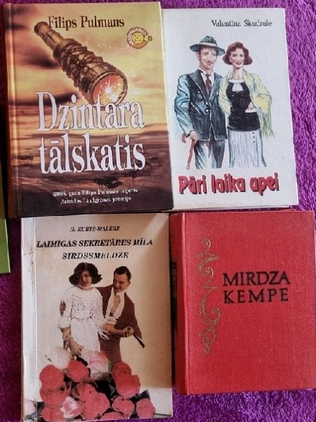 Dzintara Tālskatis