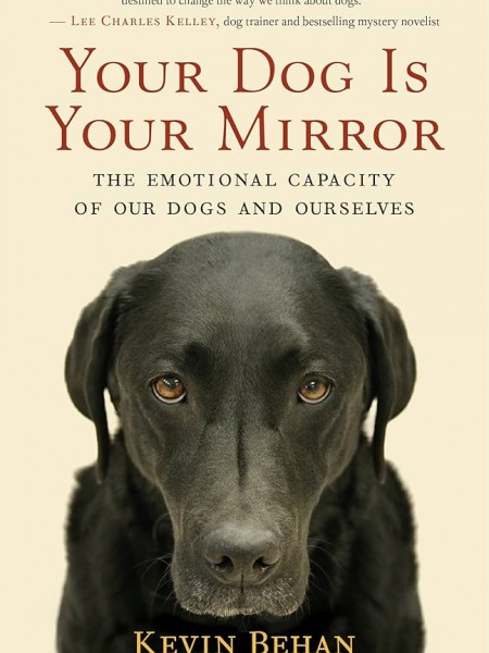 Your Dog Is Your Mirror: The Emotional Capacity of Our Dogs and Ourselves