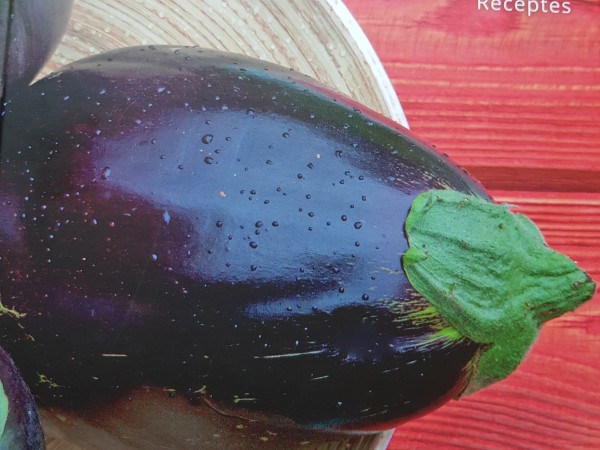 DĀRZEŅI. Idejas. Padomi. Receptes