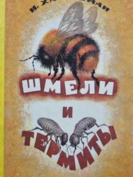 Шмели и Термиты