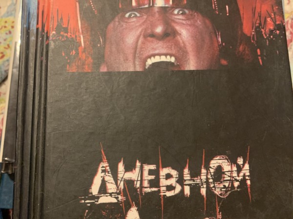 Дневной дозор