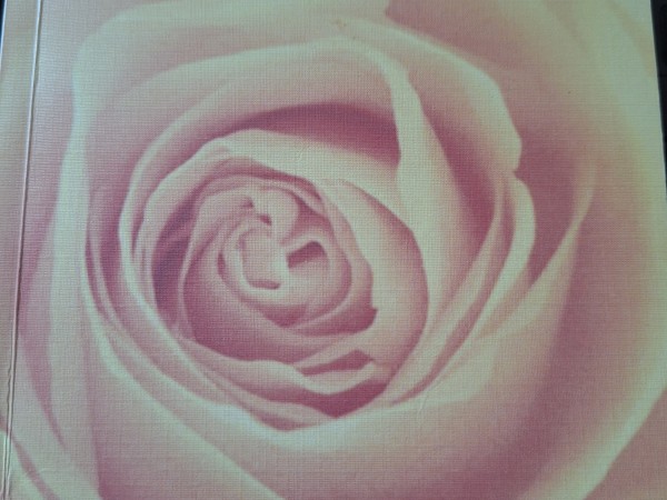 Manas dzīves valsis