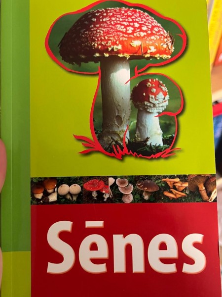 Sēnes