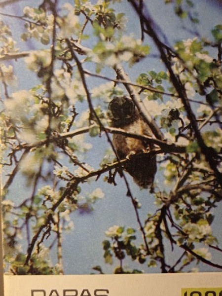 Dabas un vēstures kalendārs 1981