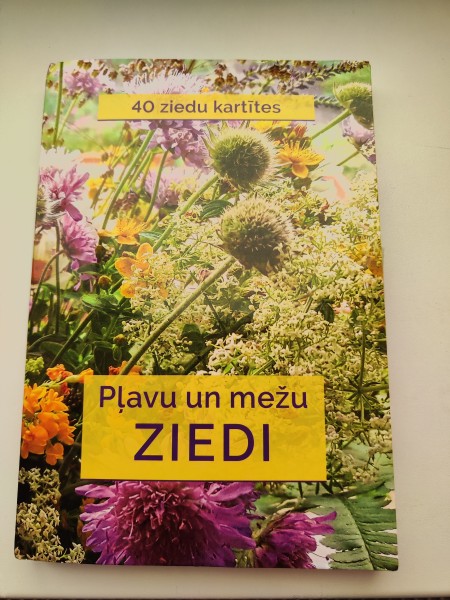 Pļavu un mežu ziedi