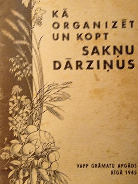 Kā organizēt un kopt sakņu dārziņus