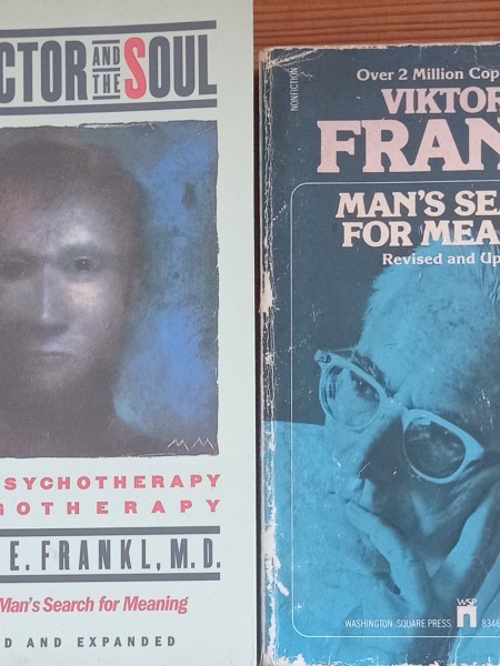 No psihoterapijas līdz logoterapijai, Cilvēka jēgas meklējumi