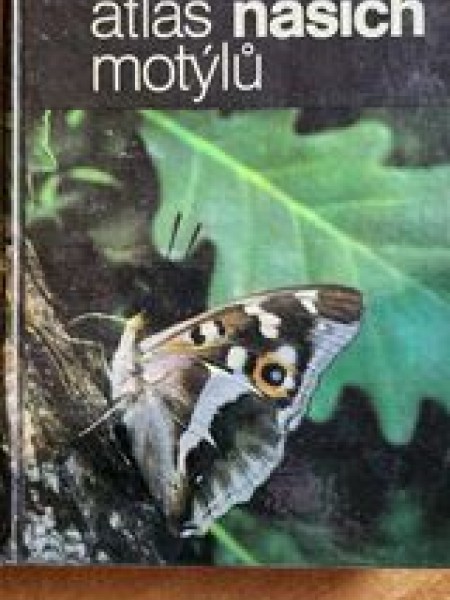 Kapesni atlas našich motylu