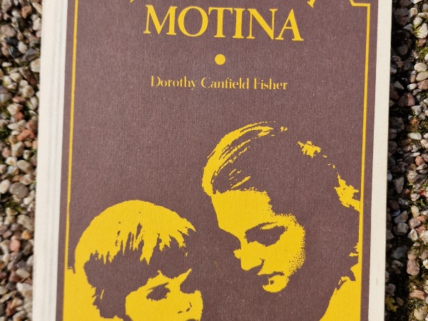 Montesoriška motina