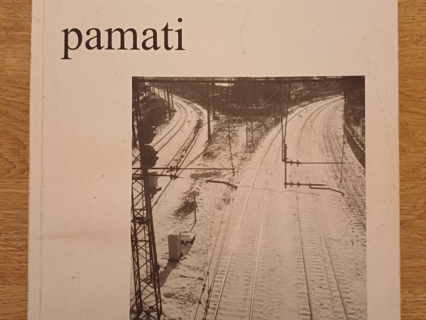 Sociālā darba pamati