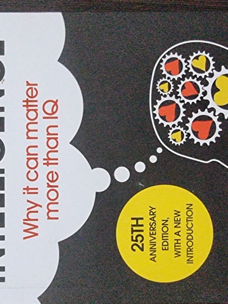 Emotional intelligence