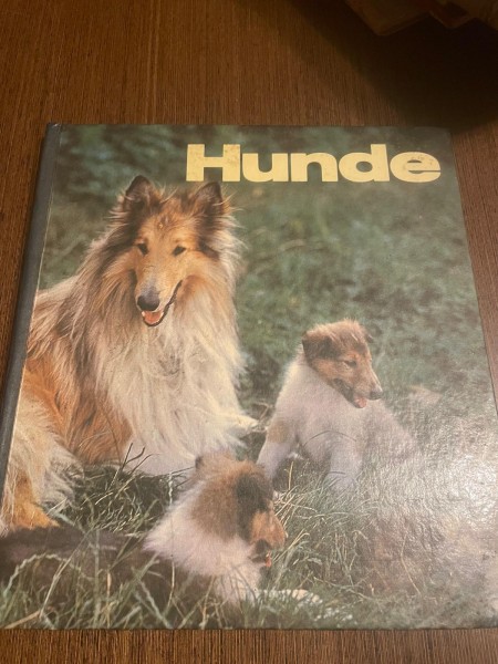 hunde