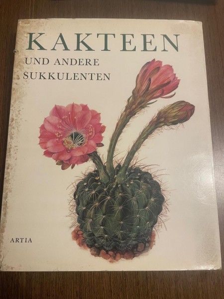 kakteen und andere sukkulenten