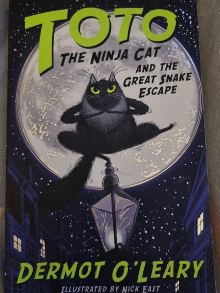 TOTO the ninja cat