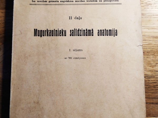 Mugurkaulnieku salīdzināmā anatomija