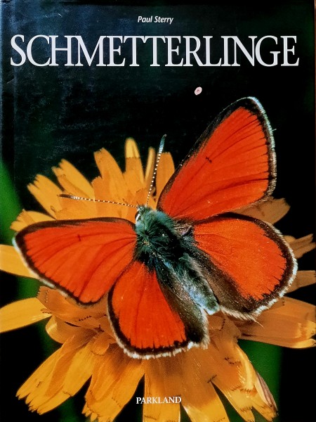 Schmetterlinge