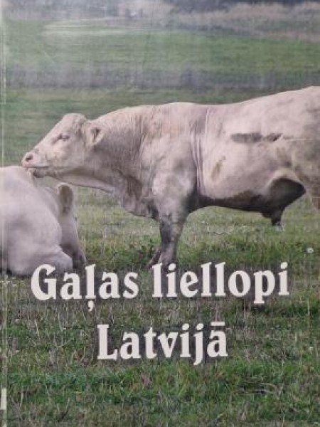 Gaļas liellopi Latvijā