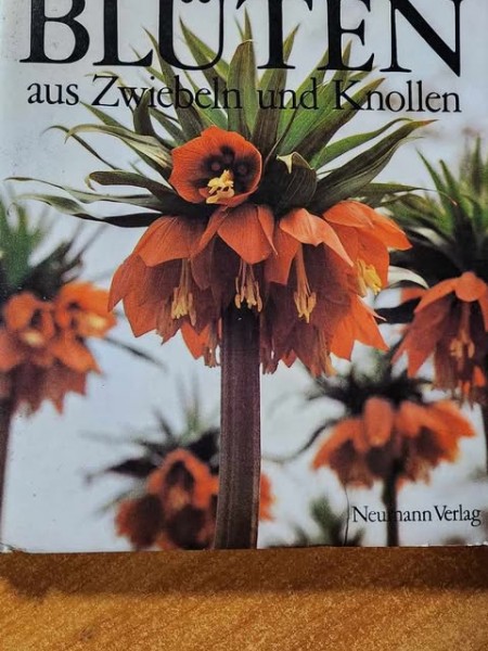 Blüten aus Knollen und Zwiebeln
