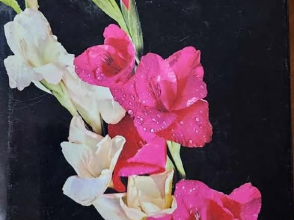 Иллюстрированная энциклопедия растений.