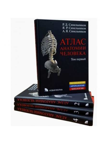 Атлас анатомии человека 1-4 том