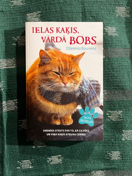 Ielas kaķis vārdā Bobs