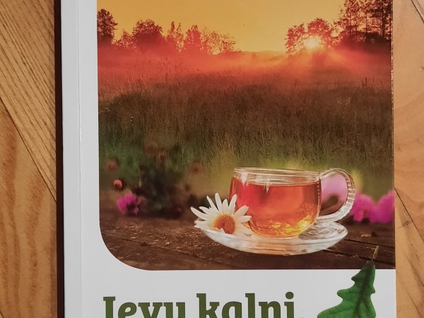 Ievu kalni, ievu lejas