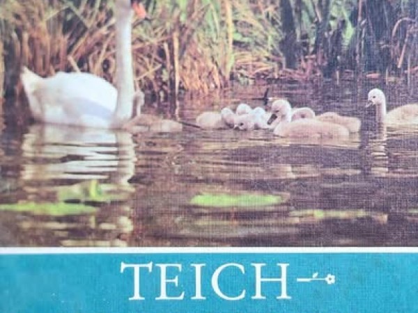 Teich- expedition