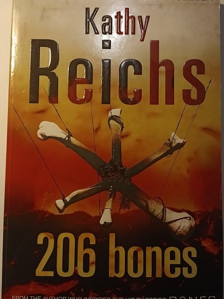 206 bones