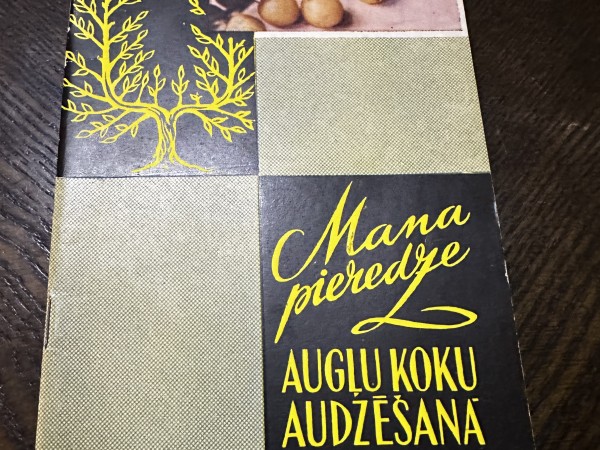 Mana pieredze augļu koku audzēšanā