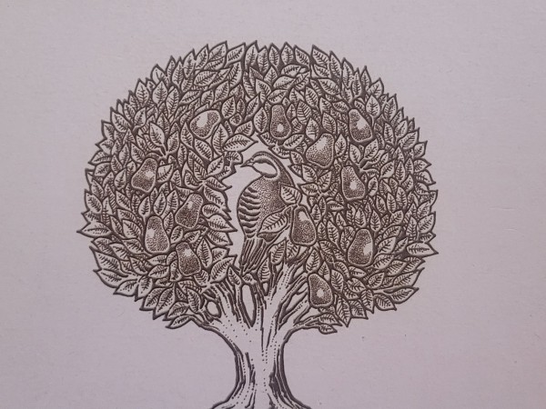 Daba mugurkaula un locītavu veselībai