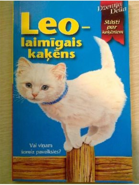 Leo - laimīgais kaķēns