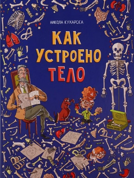 Как устроено тело