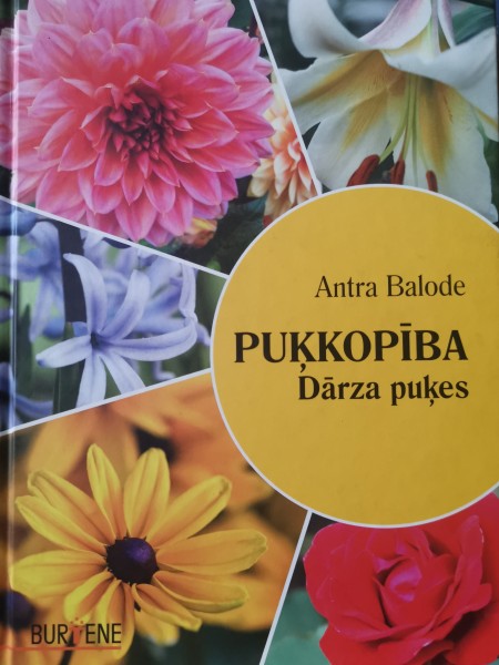 Puķkopība. Dārza puķes.