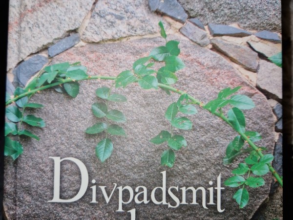 Divpadsmit logi