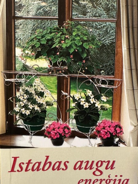 Istabas augu enerģija