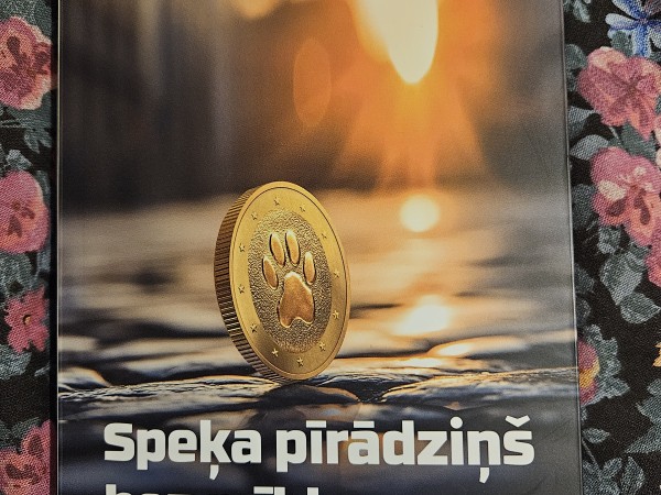 Speķa pīrādziņš bez mīklas