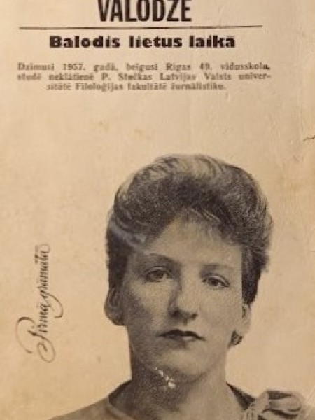 Balodis lietus laikā. Stāsts