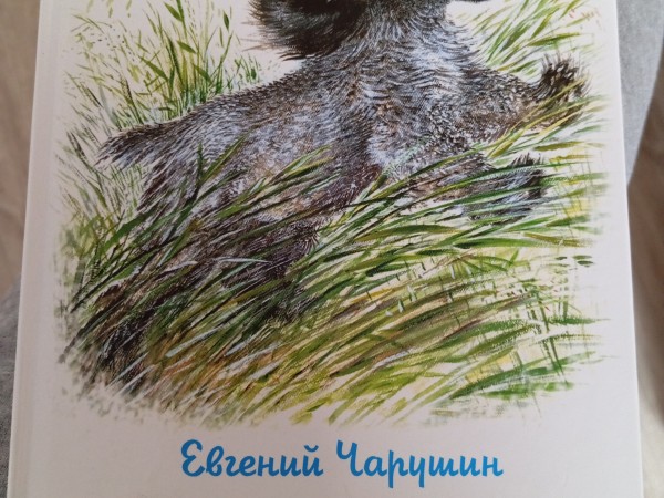 Рассказы про зверей и птиц