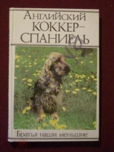 АНГЛИЙСКИЙ КОККЕР - СПАНИЕЛЬ