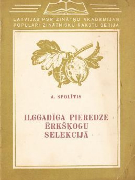 Ilggadīga pieredze ērkšķogu selekcijā
