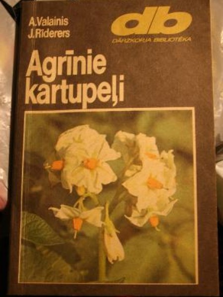 Agrīnie kartupeļi