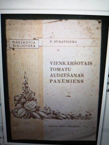 Vienkāršotais tomātu audzēšanas paņēmiens