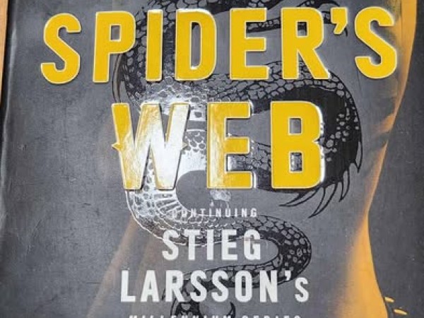 The girl in the spider`s web ( Meitene zirnekļa tīklā)