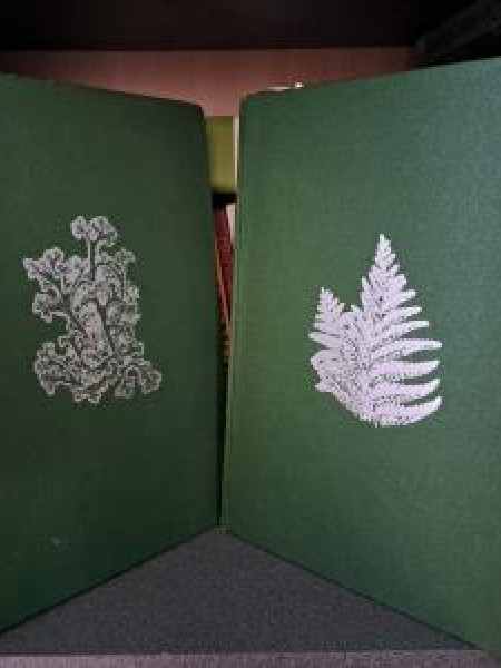 Жизнь растений