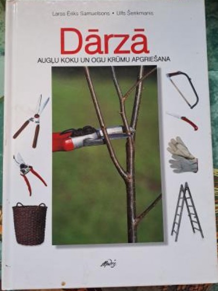 Dārzā: augļu koku un ogu krūmu apgriešana