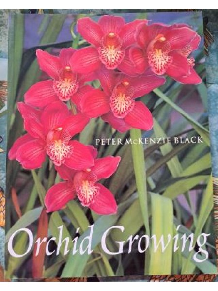 Orhíd Growing