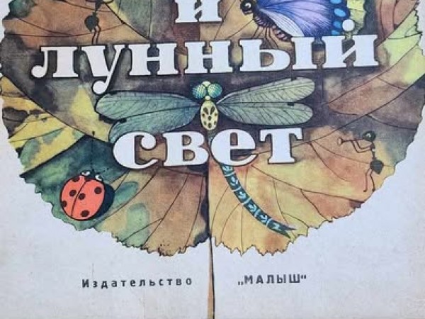 Паучок и лунный свет