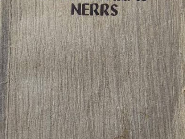 Svētā un viņas nerrs Otrā daļa